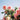 social enterprise flower farm